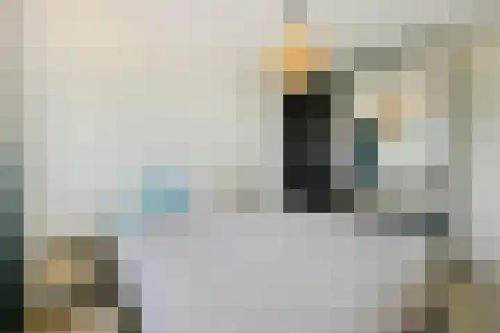 Antillenstroom 8 Huizen thumbnail 18