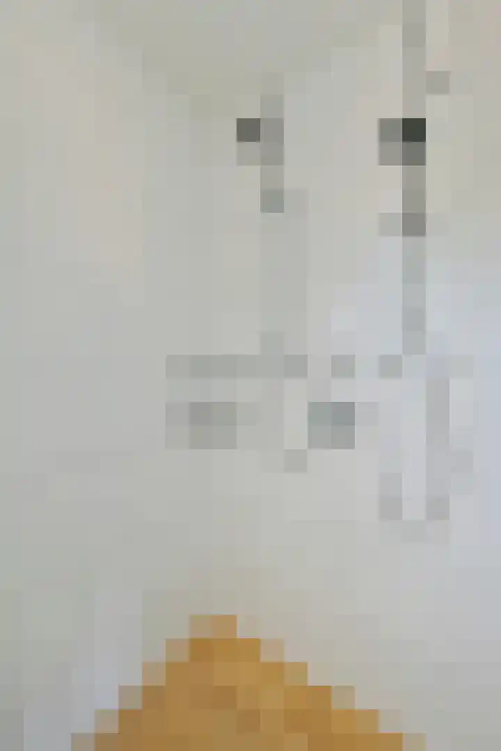 Antillenstroom 8 Huizen thumbnail 22