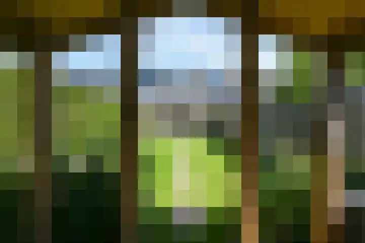 Antillenstroom 8 Huizen thumbnail 26