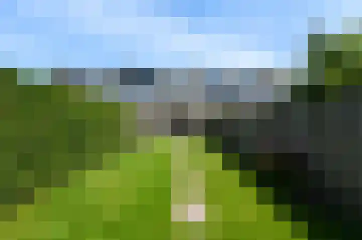 Antillenstroom 8 Huizen thumbnail 27