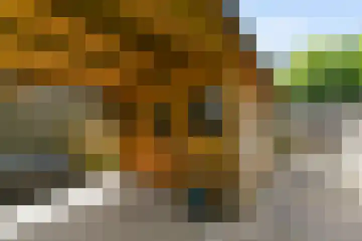 Antillenstroom 8 Huizen thumbnail 28