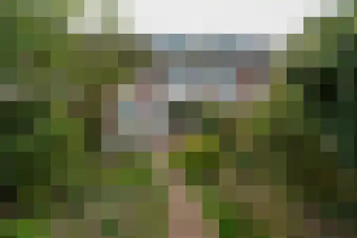 Antiloopstraat 100 Nijmegen thumbnail 34