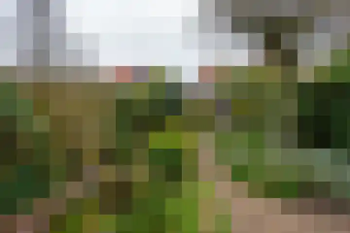 Antiloopstraat 100 Nijmegen thumbnail 38