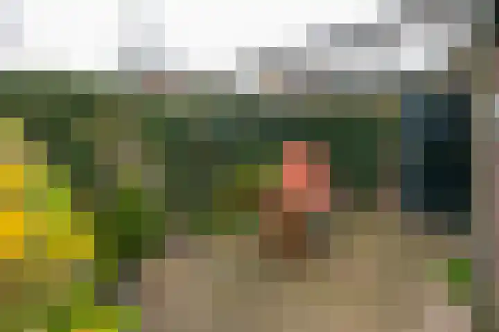 Antiloopstraat 100 Nijmegen thumbnail 39