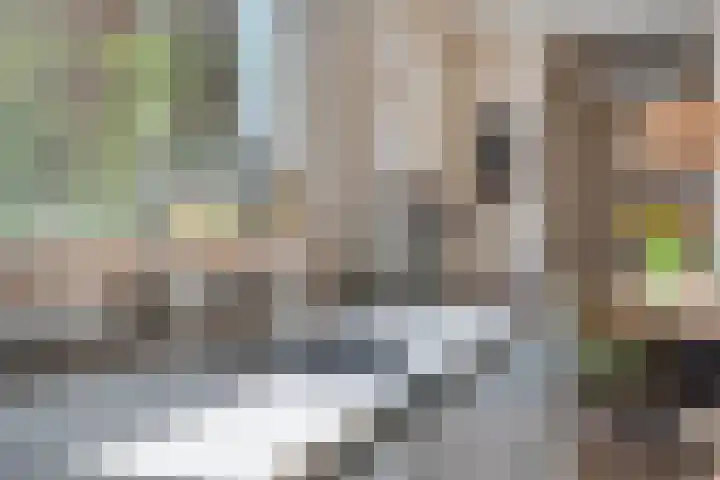 Antiloopstraat 101 Nijmegen thumbnail 21