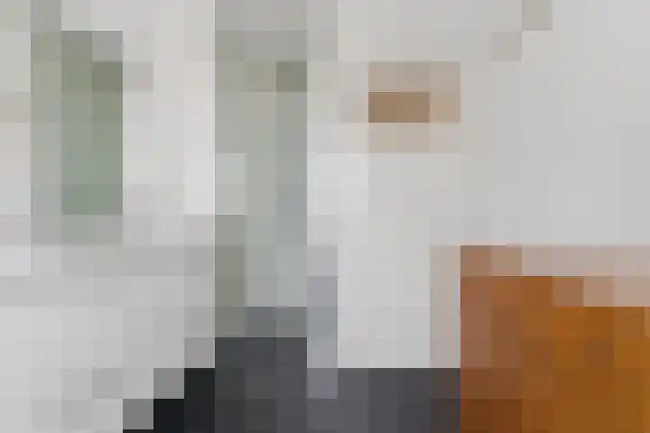 Antiloopstraat 101 Nijmegen thumbnail 31