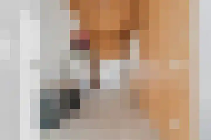 Antiloopstraat 101 Nijmegen thumbnail 39