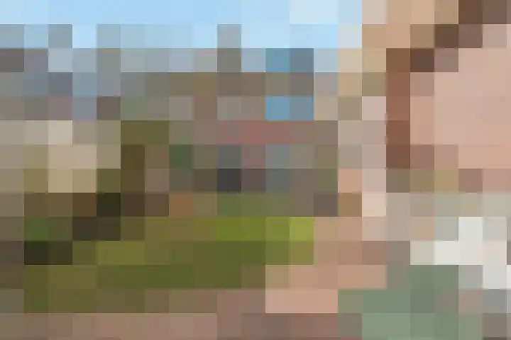 Antiloopstraat 101 Nijmegen thumbnail 43