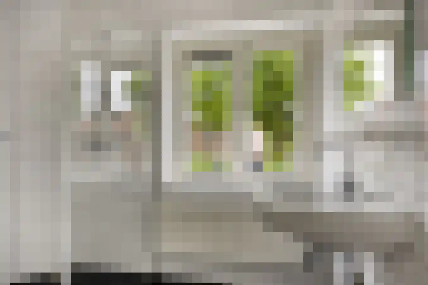 Antiloopstraat 18 Nijmegen thumbnail 15