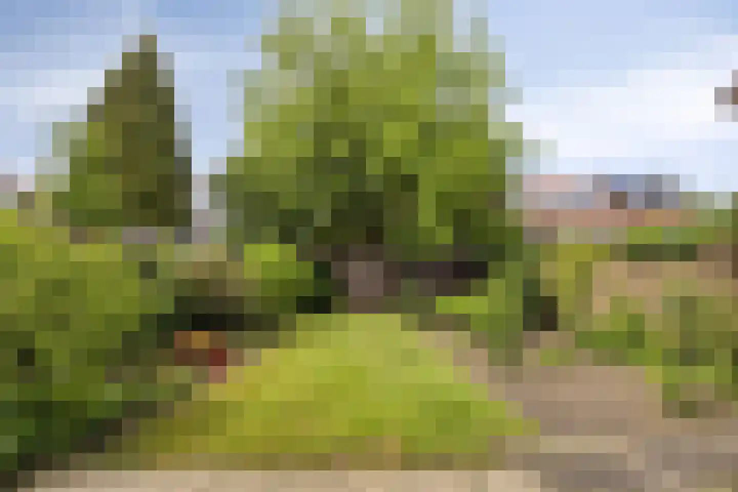 Antiloopstraat 18 Nijmegen thumbnail 26