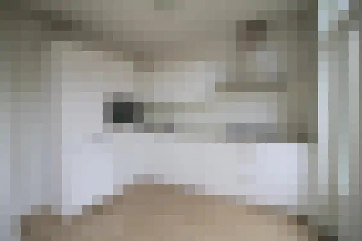Antiloopstraat 21 Breda thumbnail 5