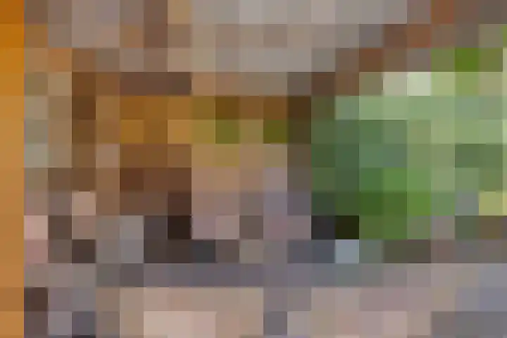 Antiloopstraat 27 Nijmegen thumbnail 39