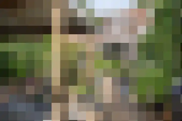 Antiloopstraat 27 Nijmegen thumbnail 40