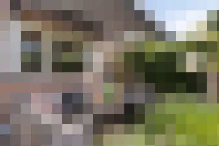Antiloopstraat 27 Nijmegen thumbnail 41