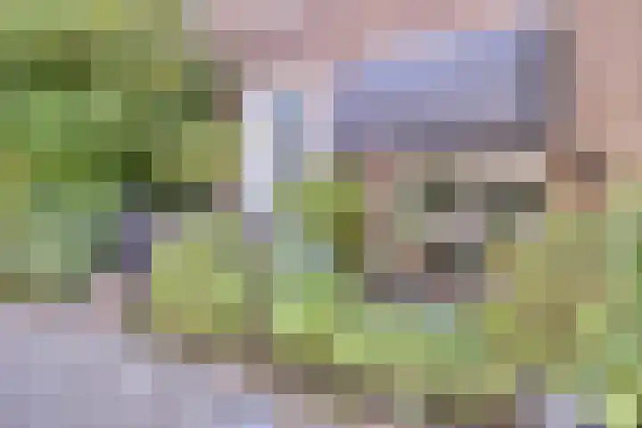 Antiloopstraat 27 Nijmegen thumbnail 43