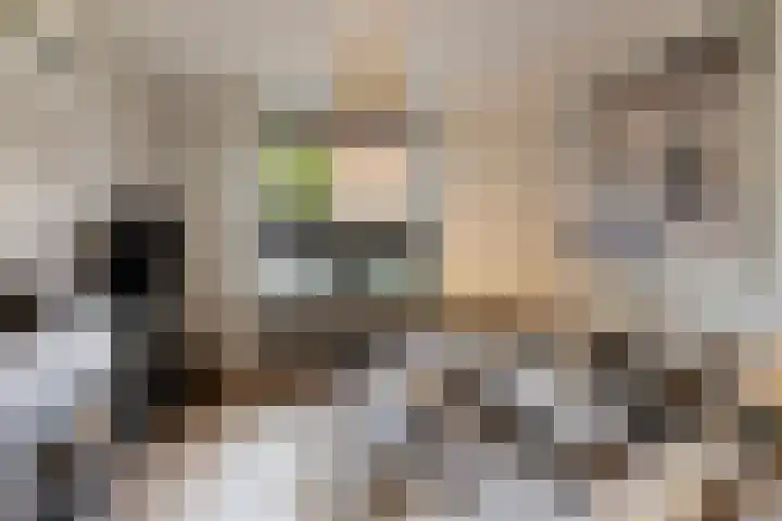 Antiloopstraat 27 Nijmegen thumbnail 7
