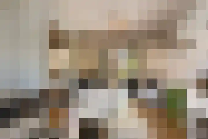 Antiloopstraat 27 Nijmegen thumbnail 8