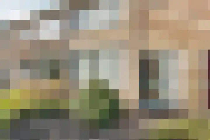 Antiloopstraat 30 Nijmegen thumbnail 4