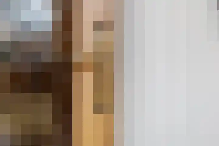 Antiloopstraat 30 Nijmegen thumbnail 6