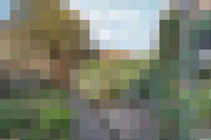 Antiloopstraat 30 Nijmegen thumbnail 66