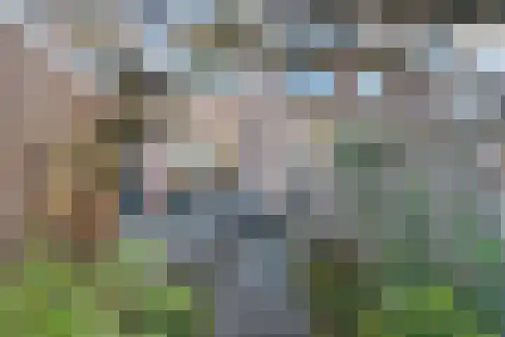 Antiloopstraat 30 Nijmegen thumbnail 73