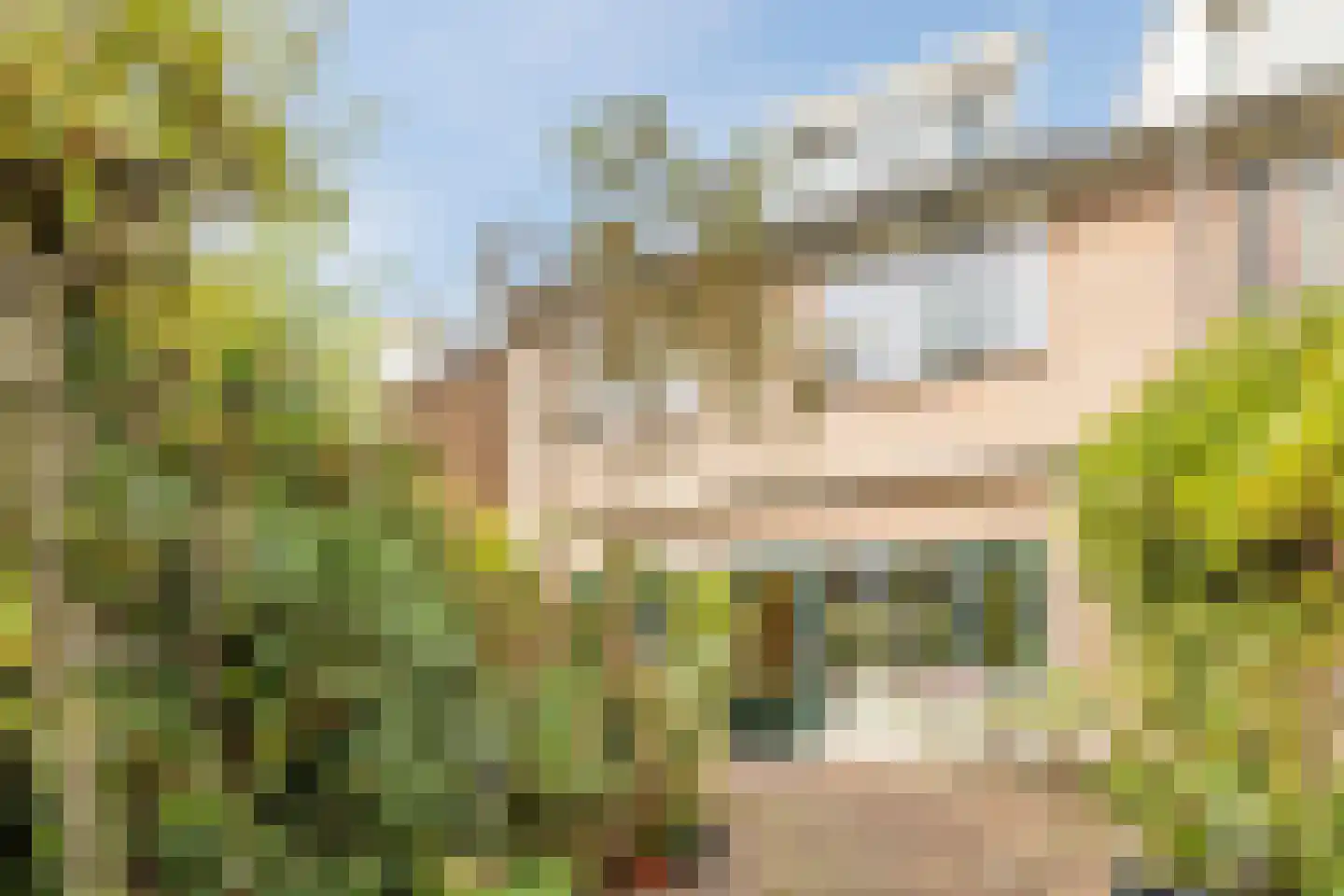 Antiloopstraat 39 Nijmegen thumbnail 16