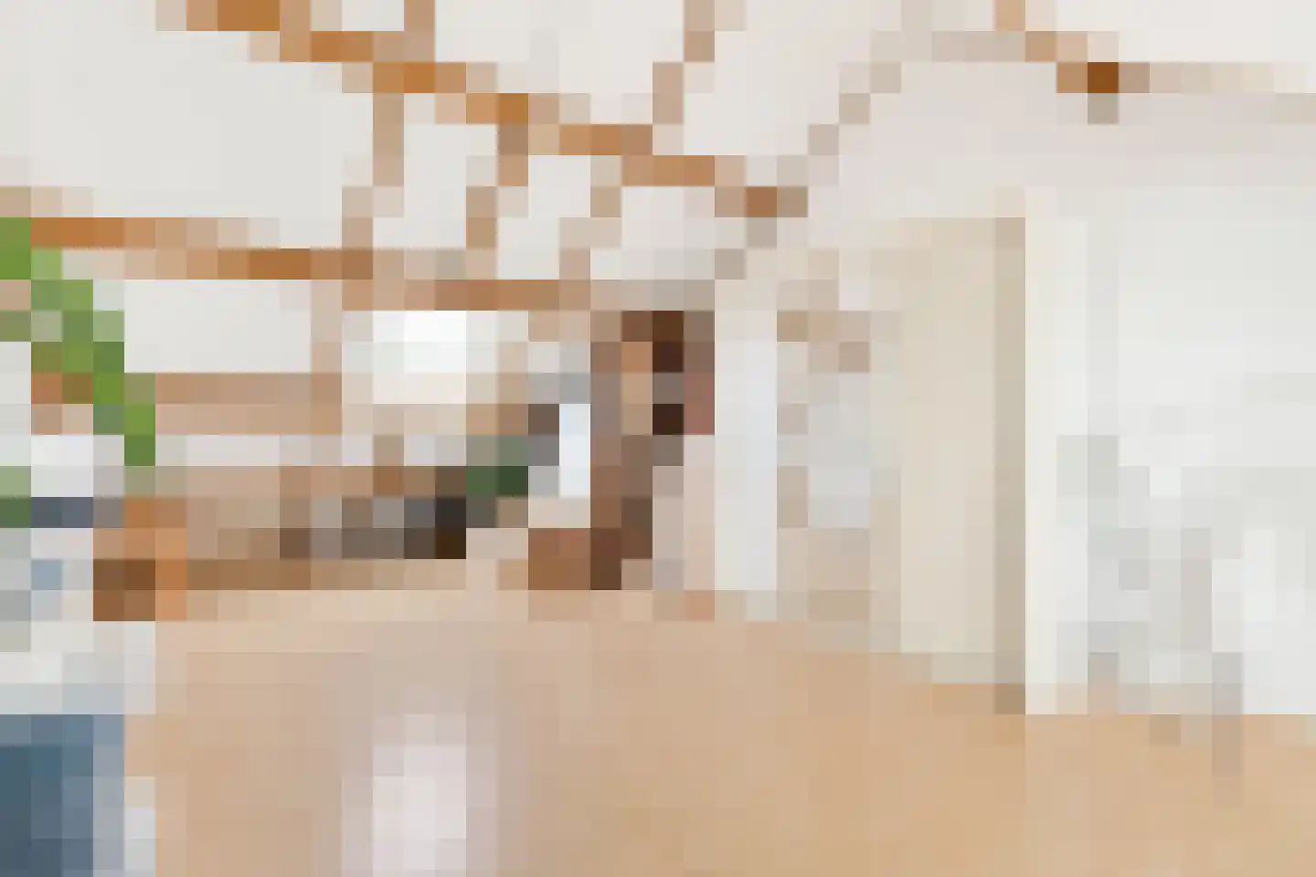 Antiloopstraat 39 Nijmegen thumbnail 41
