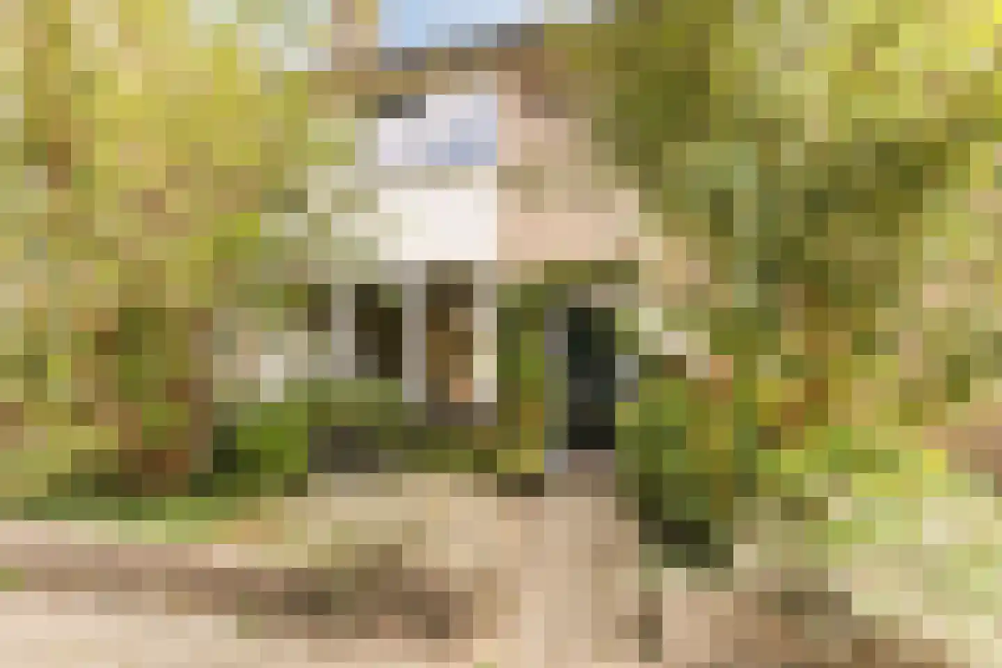 Antiloopstraat 39 Nijmegen thumbnail 46
