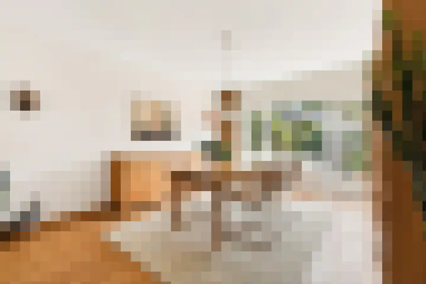 Antiloopstraat 39 Nijmegen thumbnail 8