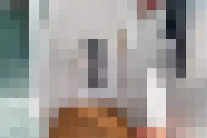 Antiloopstraat 4 Nijmegen thumbnail 11