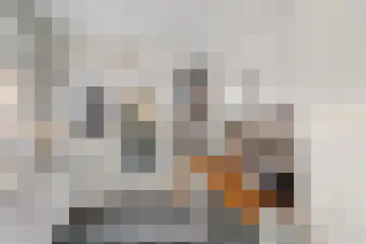 Antiloopstraat 4 Nijmegen thumbnail 17