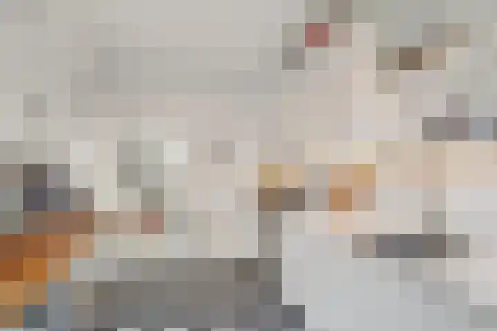 Antiloopstraat 4 Nijmegen thumbnail 18