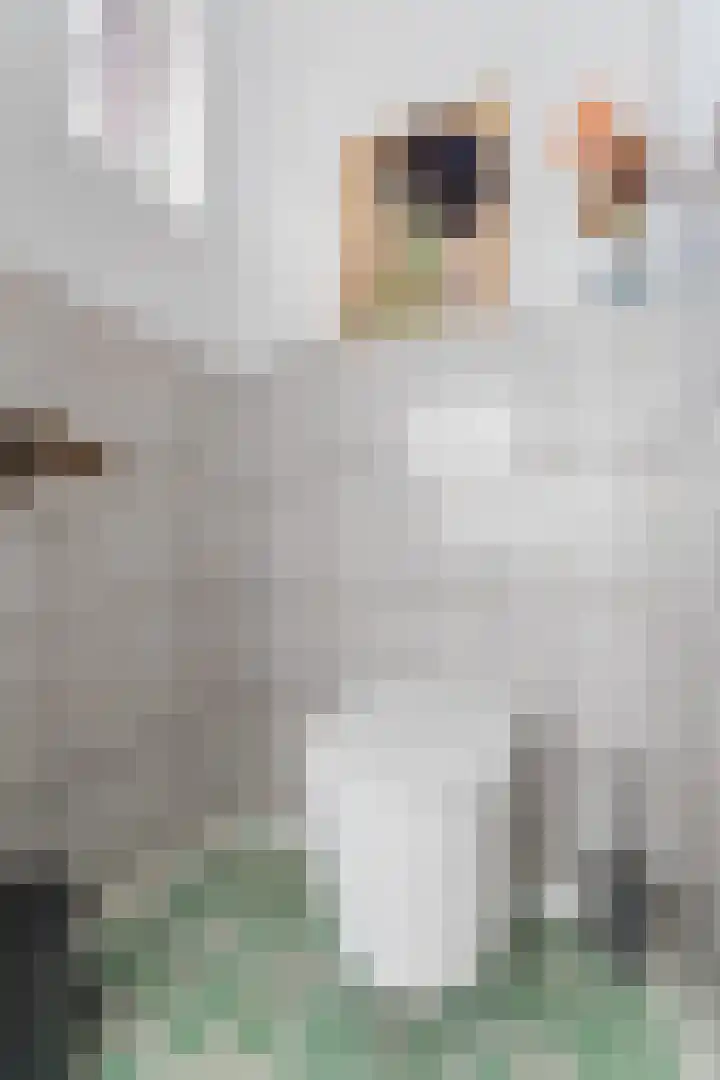 Antiloopstraat 4 Nijmegen thumbnail 22
