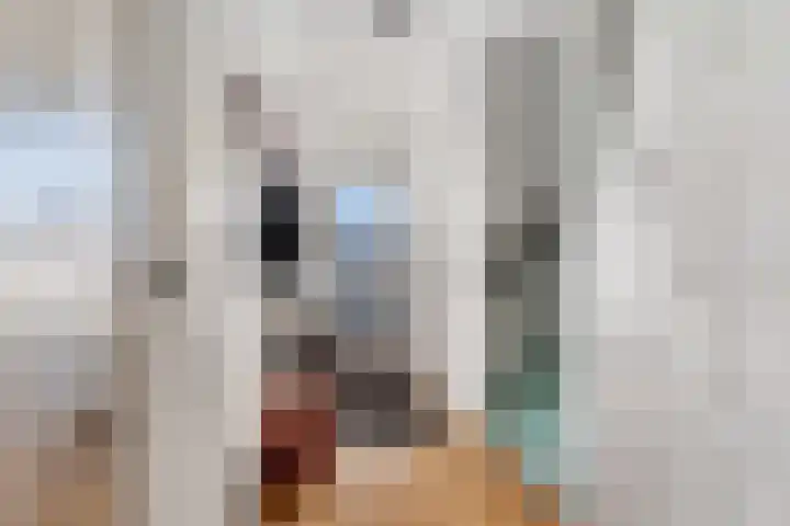 Antiloopstraat 4 Nijmegen thumbnail 24
