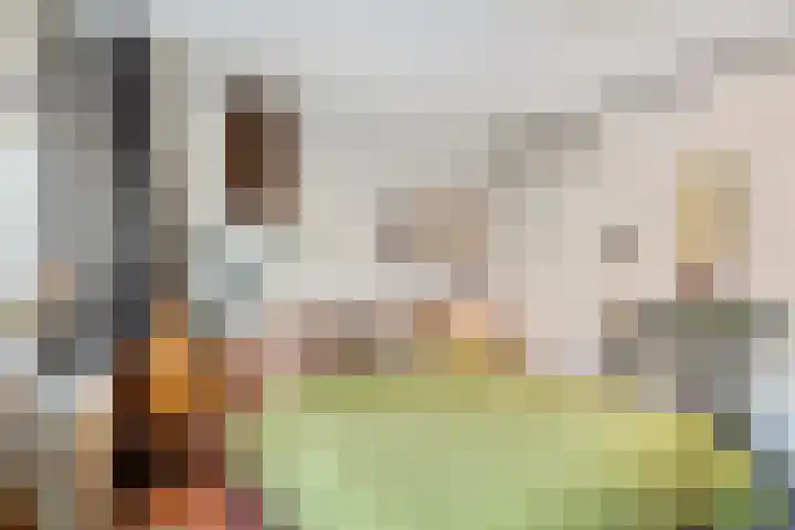 Antiloopstraat 4 Nijmegen thumbnail 26