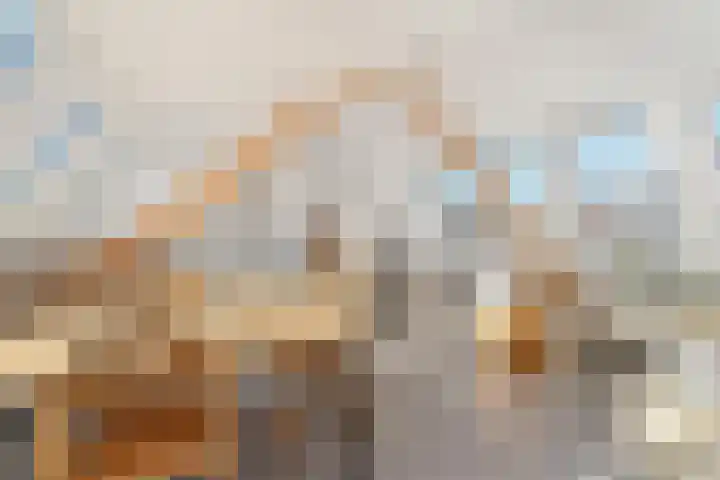 Antiloopstraat 4 Nijmegen thumbnail 41