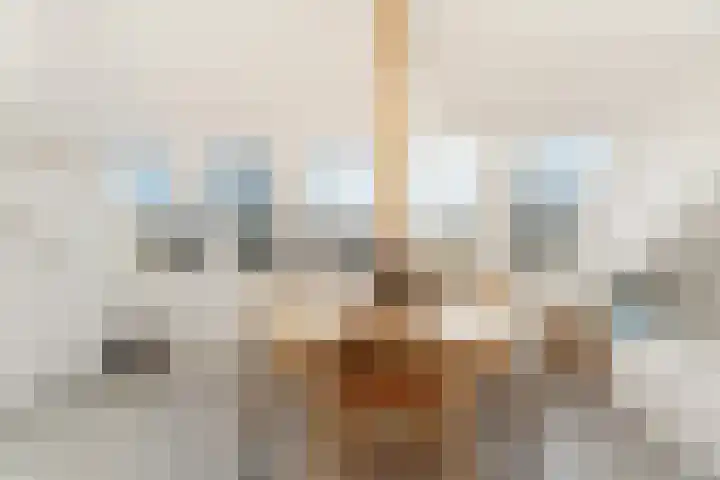 Antiloopstraat 4 Nijmegen thumbnail 45