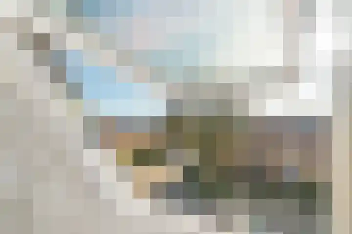 Antiloopstraat 4 Nijmegen thumbnail 47