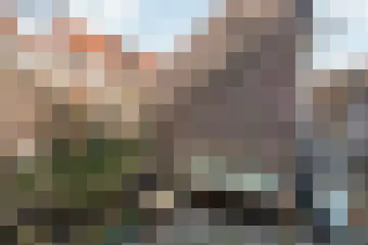 Antiloopstraat 4 Nijmegen thumbnail 53
