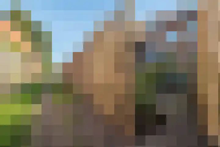 Antiloopstraat 4 Nijmegen thumbnail 55
