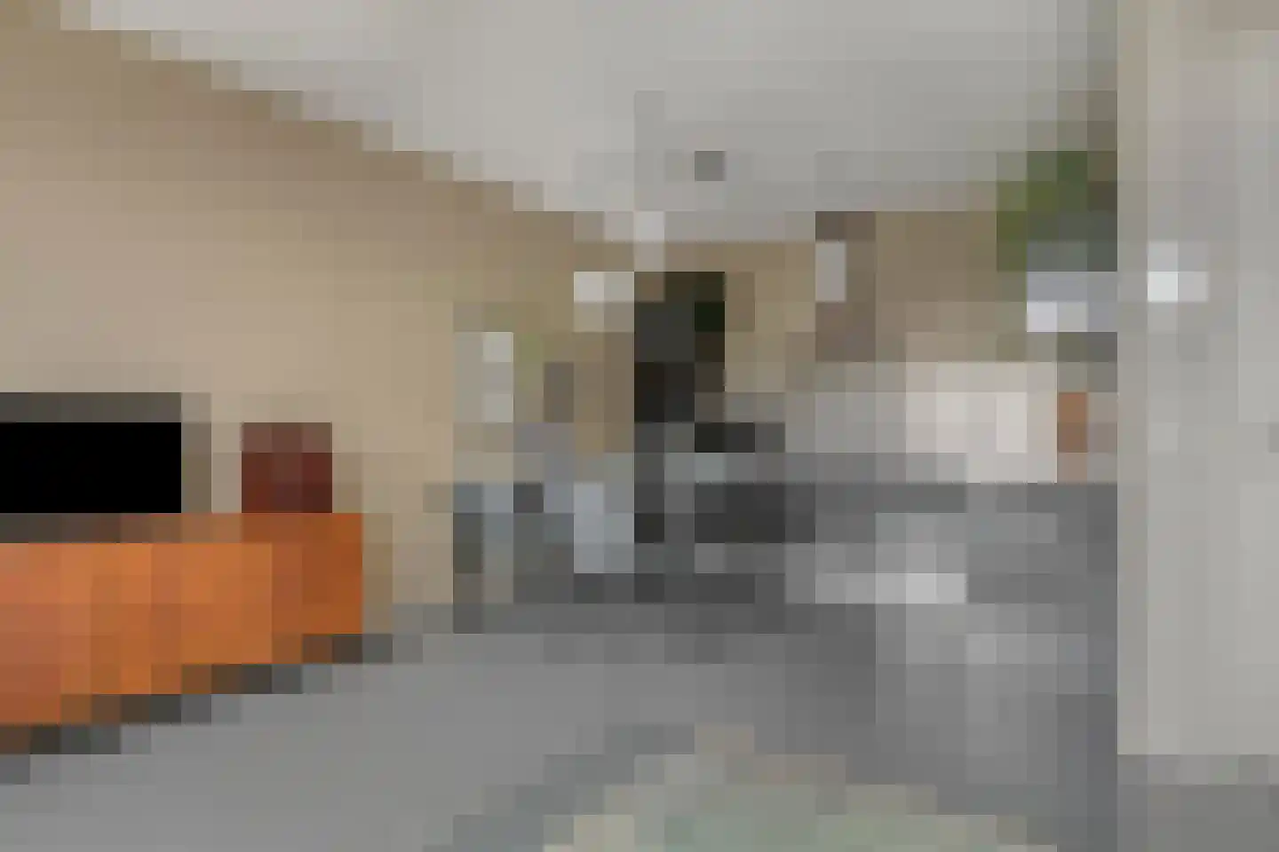Antiloopstraat 45 D Breda thumbnail 15