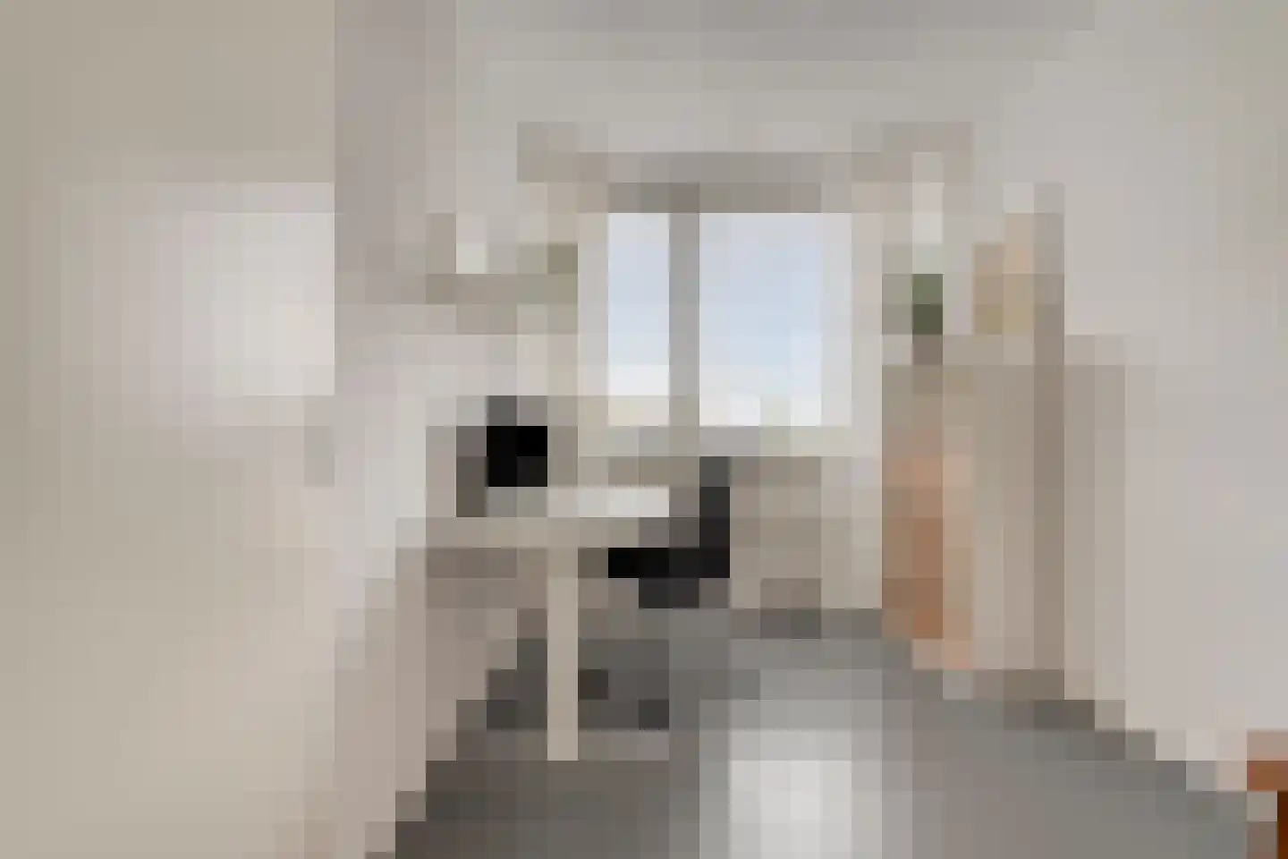 Antiloopstraat 45 D Breda thumbnail 27