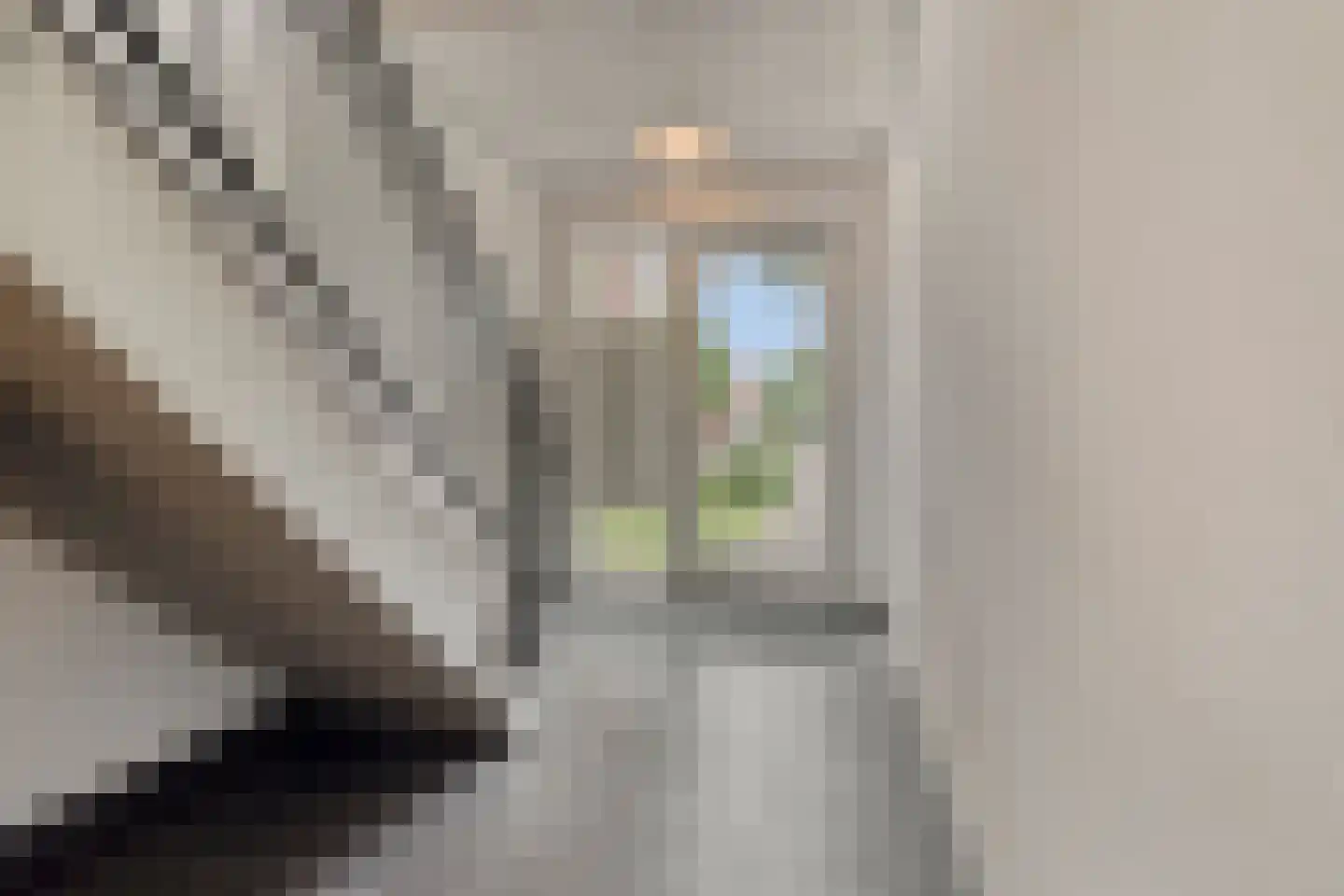Antiloopstraat 45 D Breda thumbnail 6