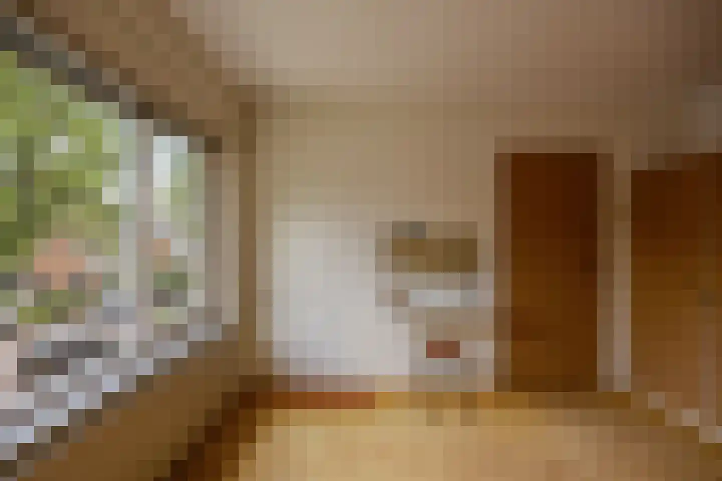 Antiloopstraat 62 Nijmegen thumbnail 17