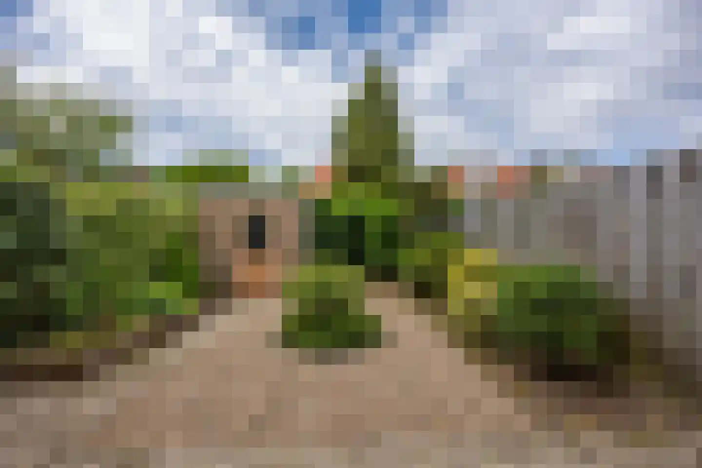 Antiloopstraat 62 Nijmegen thumbnail 27