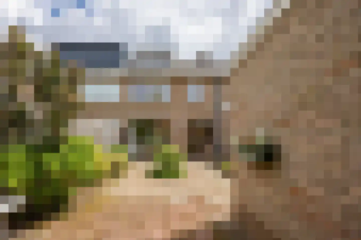 Antiloopstraat 62 Nijmegen thumbnail 28