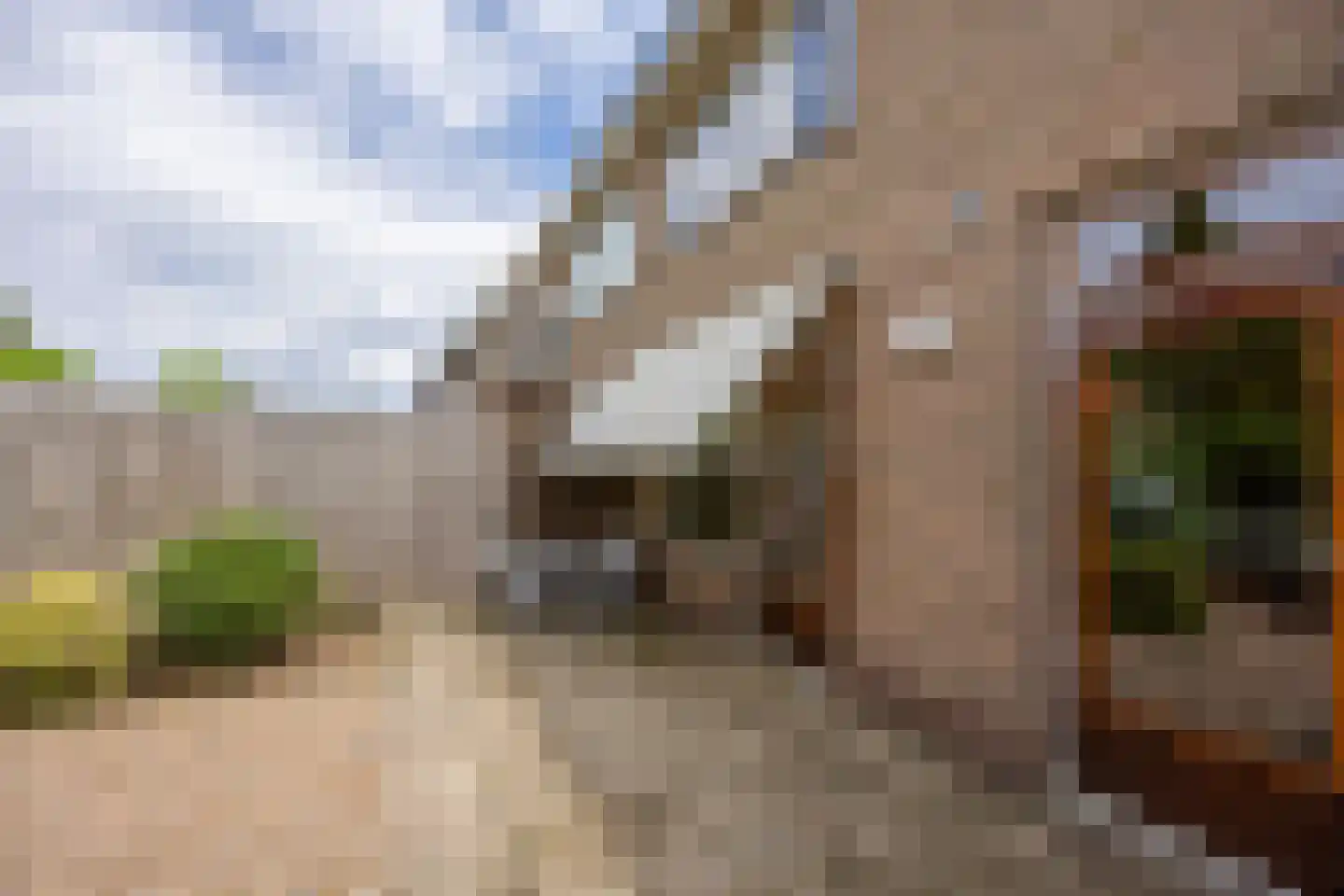 Antiloopstraat 62 Nijmegen thumbnail 31