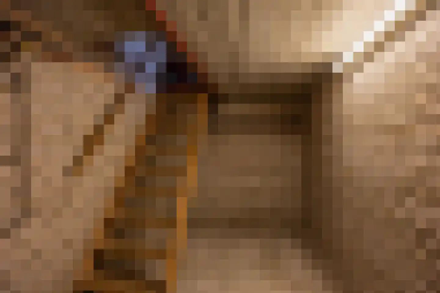 Antiloopstraat 62 Nijmegen thumbnail 6