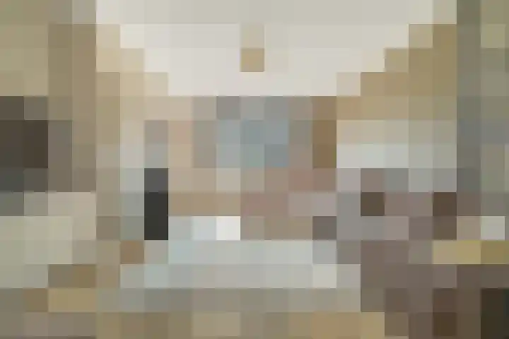 Antiloopstraat 69 Breda thumbnail 13