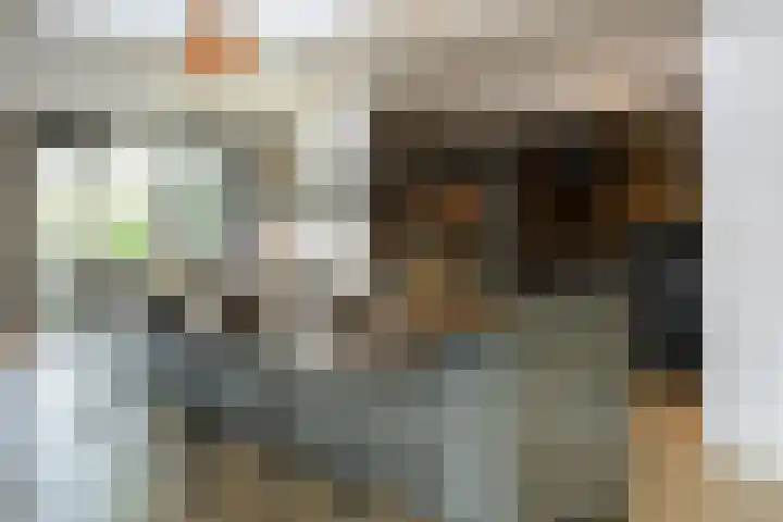 Antiloopstraat 69 Breda thumbnail 43